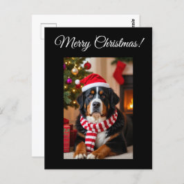 Cartão Postal Bernese Mountain Dog Natal