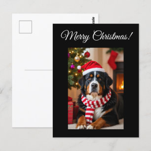 Cartão Postal Bernese Mountain Dog Natal