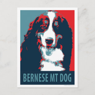 Cartão Postal Bernese Mountain Dog Poster político