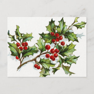 Cartão Postal Berries001