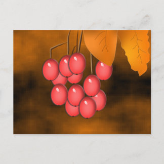 Cartão Postal Berries e Folhas