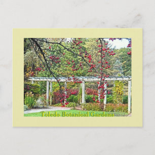 CARTÃO POSTAL BERRIES VERMELHOS E PERGOLA TOLEDO BOTÂNICO