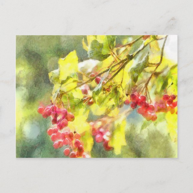 Cartão Postal Berries Watercolor (Frente)