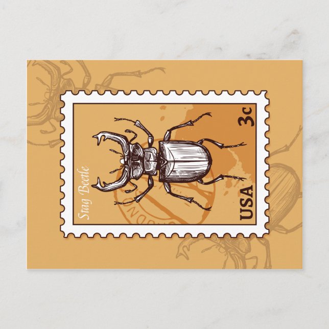 Cartão Postal Besouro de Stag (Frente)