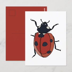 Cartão Postal Besouros Inseto Joaninha Besouros