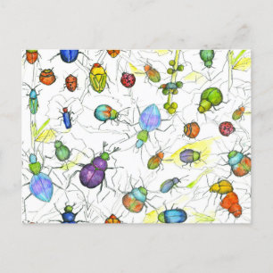 Cartão Postal Besouros Insetos Insetos Rastreamento Folhas Twigs