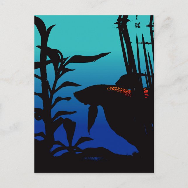 Cartão Postal Betta Acredita (Frente)