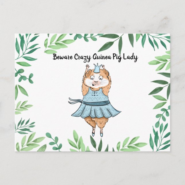 Cartão Postal Beware Crazy Guiné Pig Lady Guiné (Frente)
