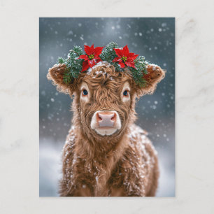 Cartão Postal Bezerro na Neve com Grinalda de Poinsettia