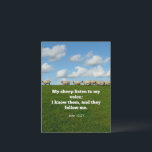 Cartão Postal Bible verse, John 10:27,<br><div class="desc">Famous scripture verse,  John 10:27,  My sheep listen to my voice; I know them,  and they follow me.</div>