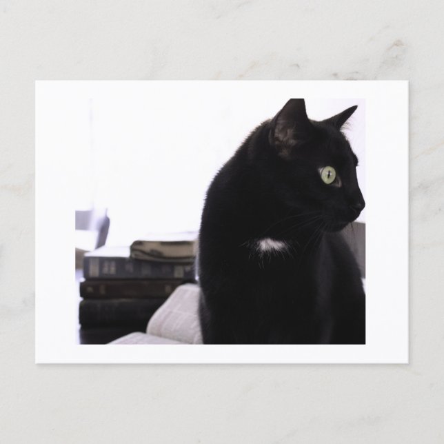 Cartão Postal Bibles and Black Cat Postcard Print by JH Thornton (Frente)