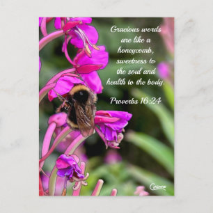 Cartão Postal Bíblia do Bumble Bee Verse - Cartão-postal