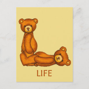 Cartão Postal Bíblias - Escrituras de Vida Duráveis