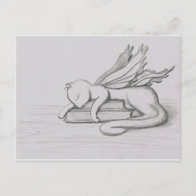 Cartão Postal Bibliotecário (Frente)