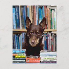 Cartão Postal Bibliotecário