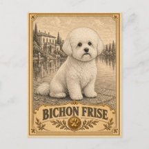 Bichon Frise, Cachorro Antigo Patrimônio