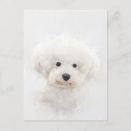 Cartão Postal Bichon Frise Dog Portrait