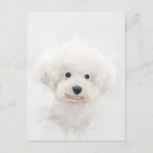 Cartão Postal Bichon Frise Dog Portrait
