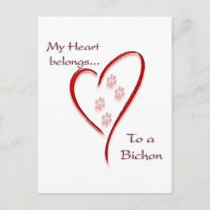 Cartão Postal Bichon Frise Heart Pertence
