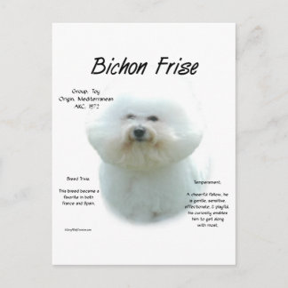 Cartão Postal Bichon Frise History; Tudo Sobre Bichon Frise