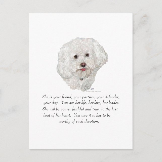 Cartão Postal Bichon Frise Lembrança FÊMEA (Frente)