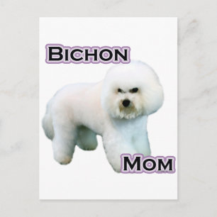 Cartão Postal Bichon Frise Mãe 4