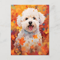 Bichon Frise Outono Dia de Ação de Graças