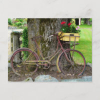 Bicicleta Antiquada Antiga com Flower Basket