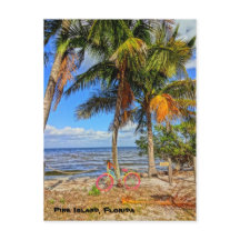 Bicicleta na praia - Pine Island Florida