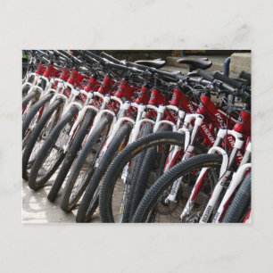 Cartão Postal Bicicletas de montanha em uma fila
