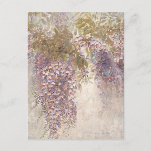 Cartão Postal Bifle (Frente)