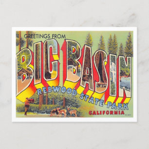 Cartão Postal Big Basin, California Vintage Big Letters