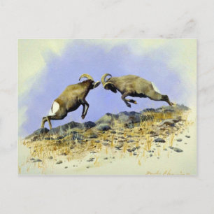 Cartão Postal Big Horn