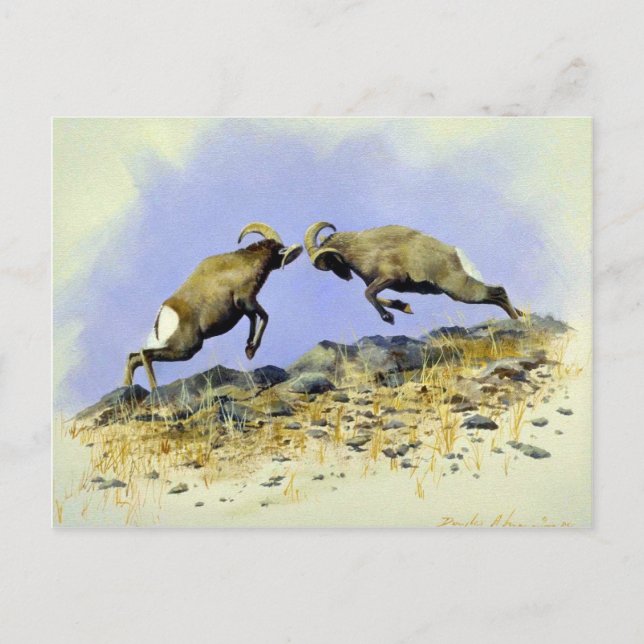 Cartão Postal Big Horn (Frente)