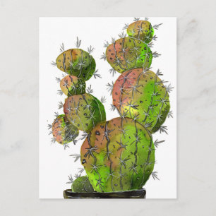 Cartão Postal Big Old Stingy Cactus