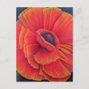 Cartão Postal Big Poppy 2003