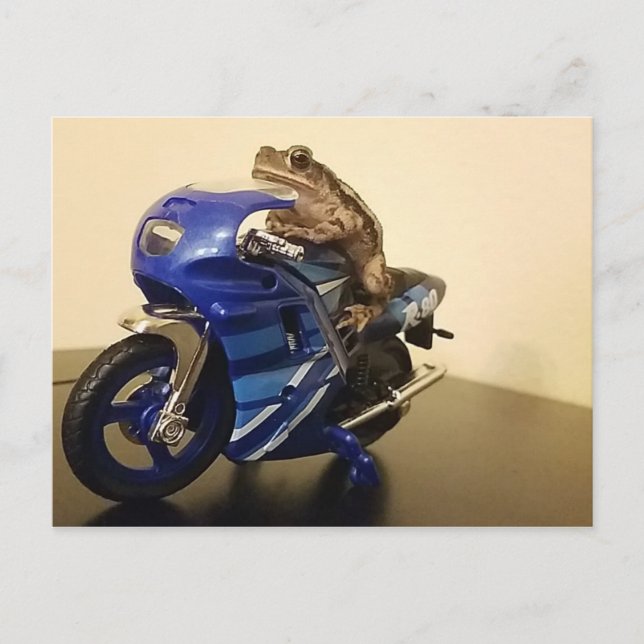 Cartão Postal Biker Toad (Frente)