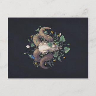 Cartão Postal Bildserie Leben Und Tod: Schafschädel