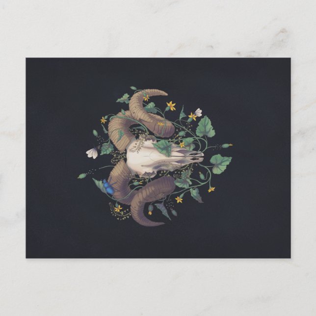 Cartão Postal Bildserie Leben Und Tod: Schafschädel (Frente)