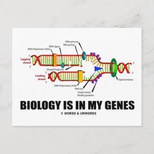Cartão Postal Biologia Está Em Meus Genes (Replicação De DNA)