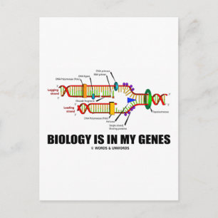 Cartão Postal Biologia Está Em Meus Genes (Replicação De DNA)
