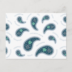 Cartão Postal Biologia Personalizável Paisley de Paramecídeos