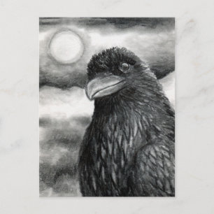 Cartão Postal Bird 64 Crow Raven