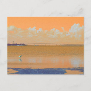 Cartão Postal Bird Bridge Orange Blue River Flórida