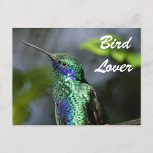 Cartão Postal Bird Lover