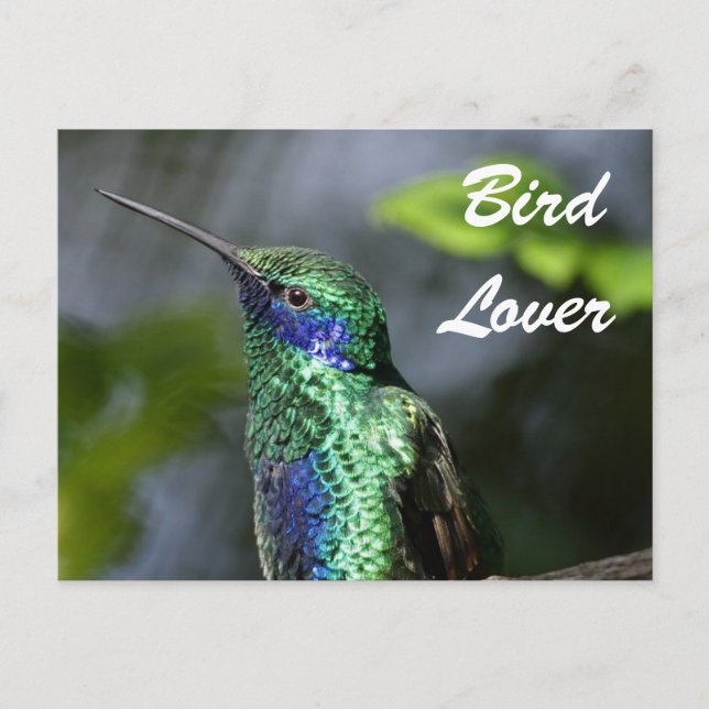 Cartão Postal Bird Lover (Frente)