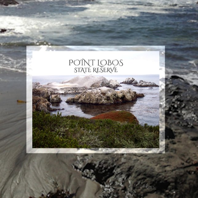 Cartão Postal Bird Rock, Reserva estatal de Point Lobos (Criador carregado)