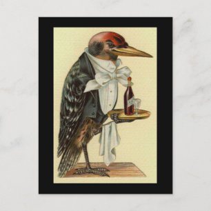 Cartão Postal Bird Waiter