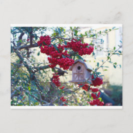 Cartão Postal Birdhouse e amoras vermelhas