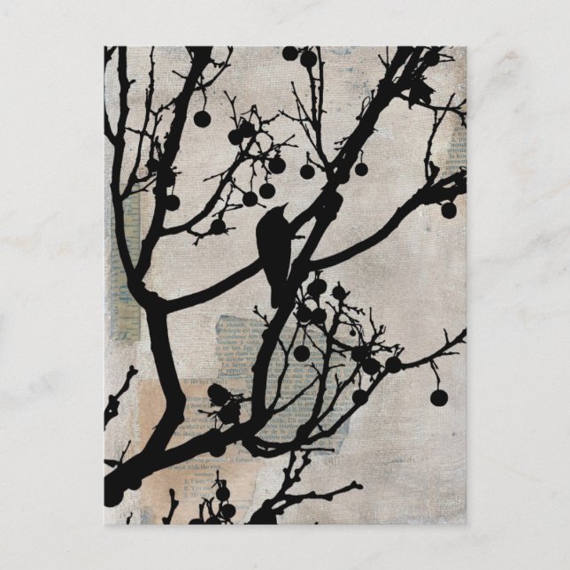 Cartão Postal Birdie 6 (Frente)